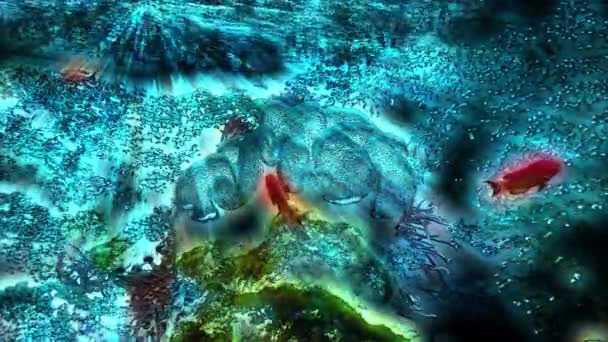 Vida Marina Los Peces Tropicales Arrecife Peces Tropicales Marinos Coloridos — Vídeos de Stock