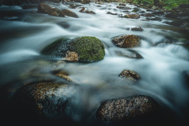 Yosunlu kayaların üzerinden akan orman deresi. Uzun pozlama