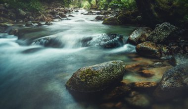 Yosunlu kayaların üzerinden akan orman deresi. Uzun pozlama