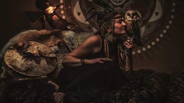 インテリアにフクロウが付いている美しいシャーマンの女性 ループ アニメーション — ストック動画