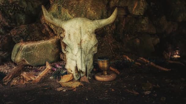 Tierschädel Einer Höhle Zeremonienraum Schleifenanimation — Stockvideo