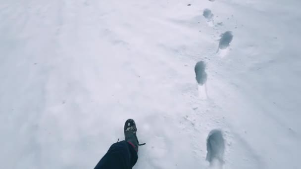 高い冬の山で観光客のシルエット — ストック動画