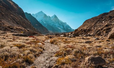 Ganga 'nın kaynaklarına giden dağ yolu güzel Himalaya Vadisi