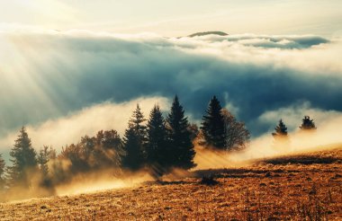 Sakin ve güzel bir gün doğumu sisli bir sonbahar manzarasında parlıyor.