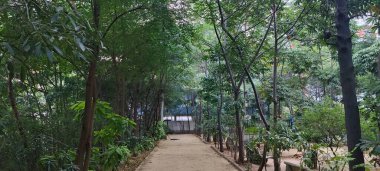 Başkentin en güzel bahçesinin parkının bahçesi.