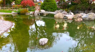 Parktaki güzel gölet