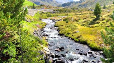 Dağ nehrinin güzel manzarası