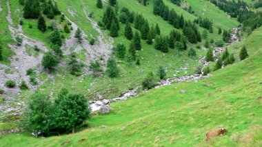 Arka planda bir dağ nehri olan güzel bir manzara.