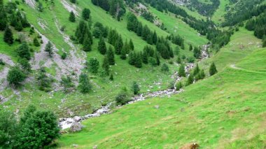 Dağları ve yeşil ağaçları olan güzel bir manzara.