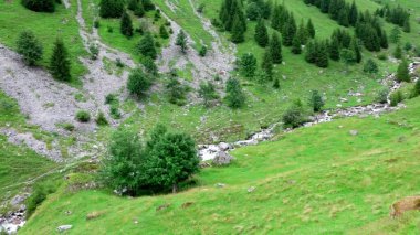 Dağları ve yeşil ağaçları olan güzel bir manzara.