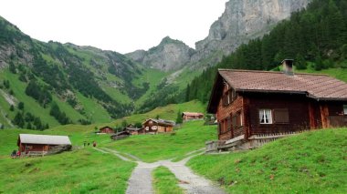 Yeşil çimenleri ve dağları olan güzel dağ manzarası