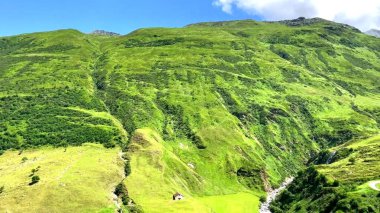 Arkadaki yeşil tepeler ve ormanlar