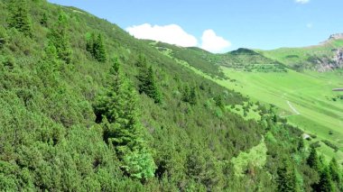 Dağları ve yeşil ağaçları olan güzel bir manzara.