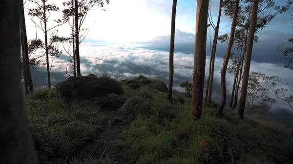 Krásná Krajina Stromem Horami — Stock fotografie