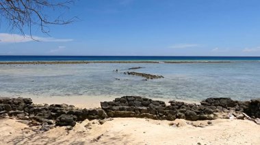 Büyük bir deniz ve beyaz kumsalı olan güzel bir sahil.