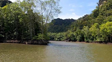 Nehir ve ormanlı güzel bir manzara.