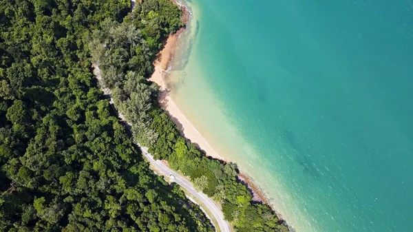 Palmiye ve deniz manzaralı tropik sahil manzarası