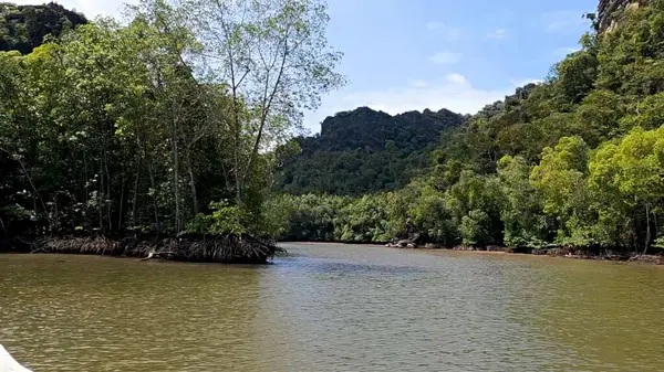 Güzel göl manzarası