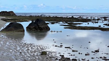 Deniz kıyısının güzel manzarası