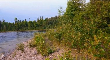 Ormandaki güzel nehir