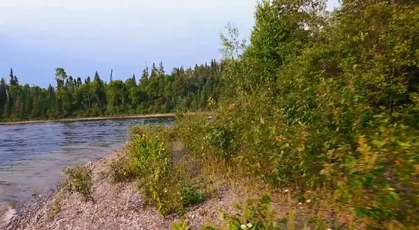 Ormandaki güzel nehir