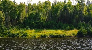 Yeşilliklerle çevrili güzel bir nehir.