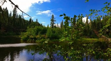 Kanada 'da ağaçlarla çevrili gölün güzel bir görüntüsü.