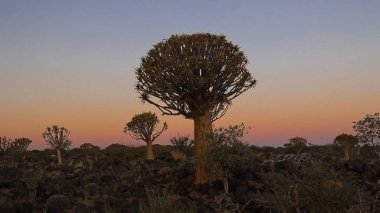 Parkta güzel bir gün batımı