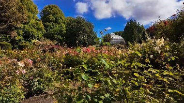 Parkta sonbahar manzarası