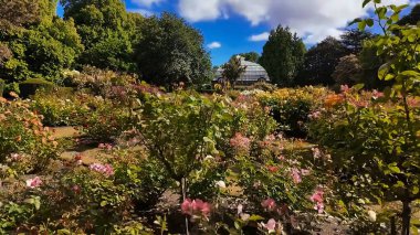 Doğanın güzel manzarası