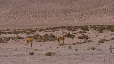 Dağların güzel manzarası