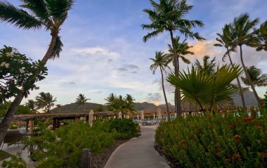 Sahilin güzel manzarası