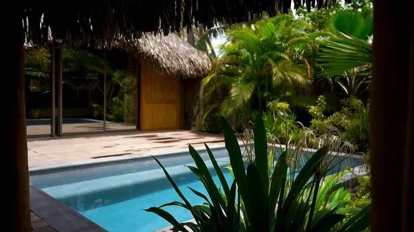 tropical resort in a luxury tropical garden
