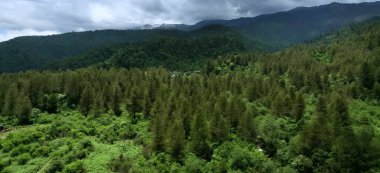 Dağların güzel manzarası