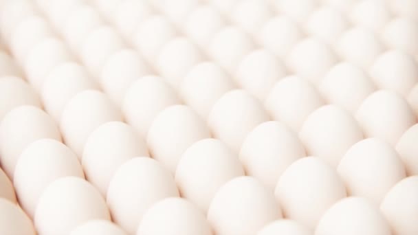 Montón Huevos Pollo Inconsútil Bucle Animación Huevos Frescos Por Mayor — Vídeo de stock