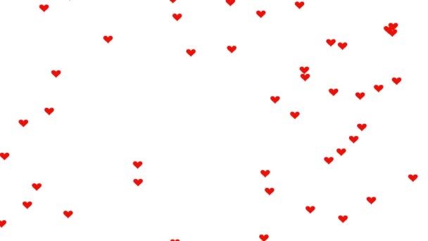 Падающие Красные Сердца Белом Фоне Motion Графическая Видеоанимация Днем Святого — стоковое видео