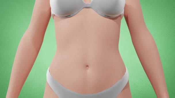 Animation Des Körpers Fettleibigkeit Frau Körpergewicht Zunehmen Bauchwachstum Taillenreduktion Körper — Stockvideo
