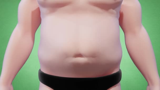 Анімація Схуднення Тіла Зниження Маси Тіла Людини Сушіння Жиру — стокове відео