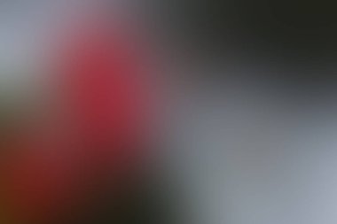 Grafik tasarım kullanımı için Grafik Arkaplan Parlak Rengi