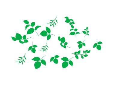 Düz yeşil yapraklar koleksiyonu. Akçaağaç meşe ağacı yaprağı. İzole edilmiş çevresel sembol. Basit vektör eko doğa koleksiyonu