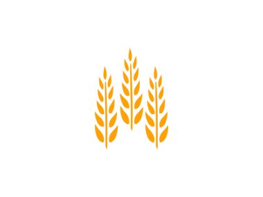 Tarım Buğday Logosu Şablonu. Vektör çizimi. Altın buğday kulakları, tarım buğday vektör simgesi, beyaz arkaplanda izole edilmiş buğday vektör logo şablonu