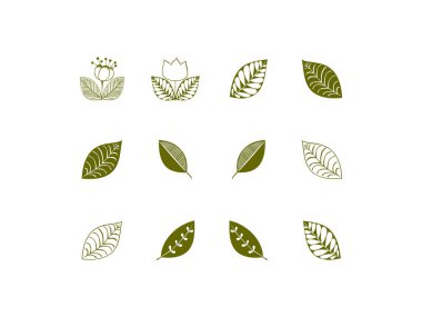 Ağaç yaprağı siluetleri. Beyaz arkaplanda vektör illüstrasyonunu bırakır. Yaşam organik yaprak akçaağaç ve palmiye