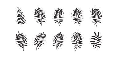 Beyaz arka planda tropik siluet palmiye yaprakları. Tropikal siluet Kusursuz vektör deseni bırakır