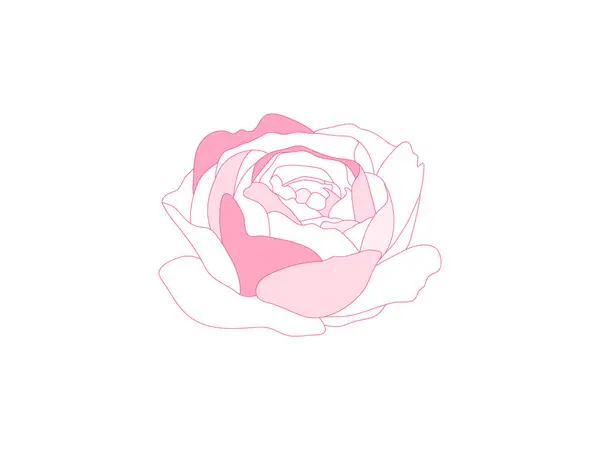 Yumuşak hatları olan narin pembe ve beyaz bir gül çizimi, temiz beyaz bir arkaplan üzerine kurulmuş, minimalist ve zarif bir tasarım yaratıyor..