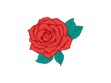 El Çizimi Gül Çiçek Vektörü