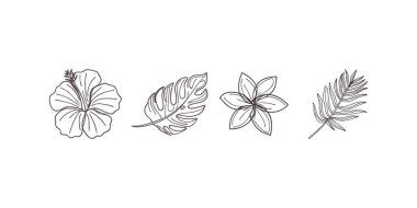 Bir ambar çiçeği, canavar yaprağı, tesisat çiçeği ve palmiye yaprağının yer aldığı basit bir çizgi çizimi, hepsi beyaz bir arkaplan üzerine siyah bir ana hatla çizilmiş..