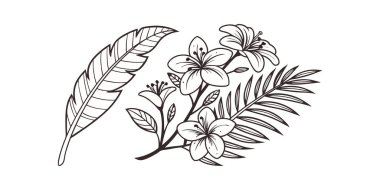 Bir tüy, çiçekler ve bir palmiye yaprağının yer aldığı basit bir siyah beyaz çizgi çizimi. Tasarım temiz, minimalist ve çeşitli kullanım alanları için dekoratif..