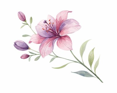 Canlı suluboya çiçekleri ve egzotik yaprakları dekor, kart ve yaz tasarımları için ideal, cesur ve sanatsal bir tarzda içeren tropik illüstrasyondan esinlenmiş vektör çizimi