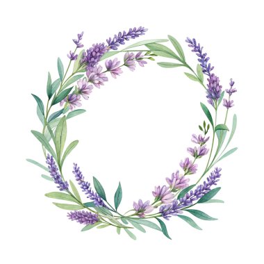 Romantik düğün davetiyesi ve dekorasyon için şeffaf arka planda narin çiçekli el boyası lavanta filizi ve çiçek çelenkleri.