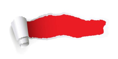 Yırtık ve yırtık kağıt desenleri koleksiyonu yırtık kenarları ve delikleri grafik tasarım sanatı ve yaratıcı sunumlar için mükemmel